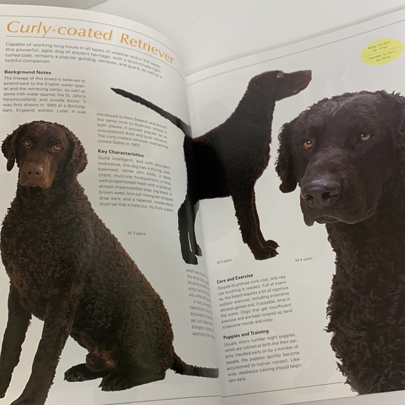Book | The Ultimate Illustrated Guide To Over 200 Breeds | Legacy Of The Dog - Picture 7 of 8